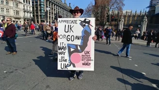 Tysiące ludzi manifestują przed brytyjskim parlamentem