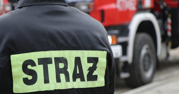 Tragedia w Sokołowie Małopolskim. Podkarpaccy strażacy w czasie gaszenia pożaru traw znaleźli ciało około 80-letniego mężczyzny.  