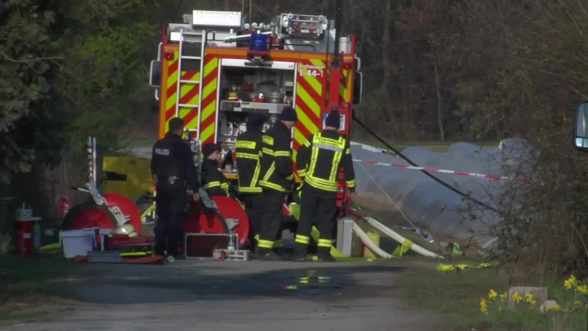 Natalia Filewa, jedna z najbogatszych Rosjanek, zginęła w wypadku lotniczym w pobliżu Frankfurtu nad Menem, na południowym zachodzie Niemiec - poinformowała agencja dpa.