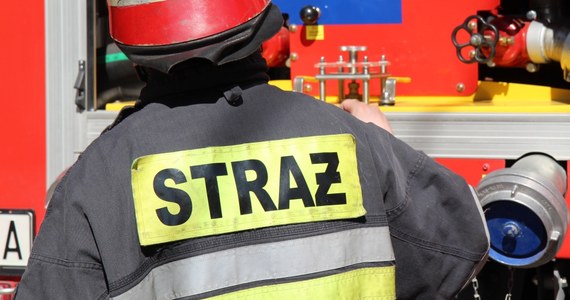 Jedna osoba zginęła, a dwie zostały ranne w pożarze mieszkania w kamienicy na wrocławskim osiedlu Sępolno. Straż ewakuowała 10 osób.