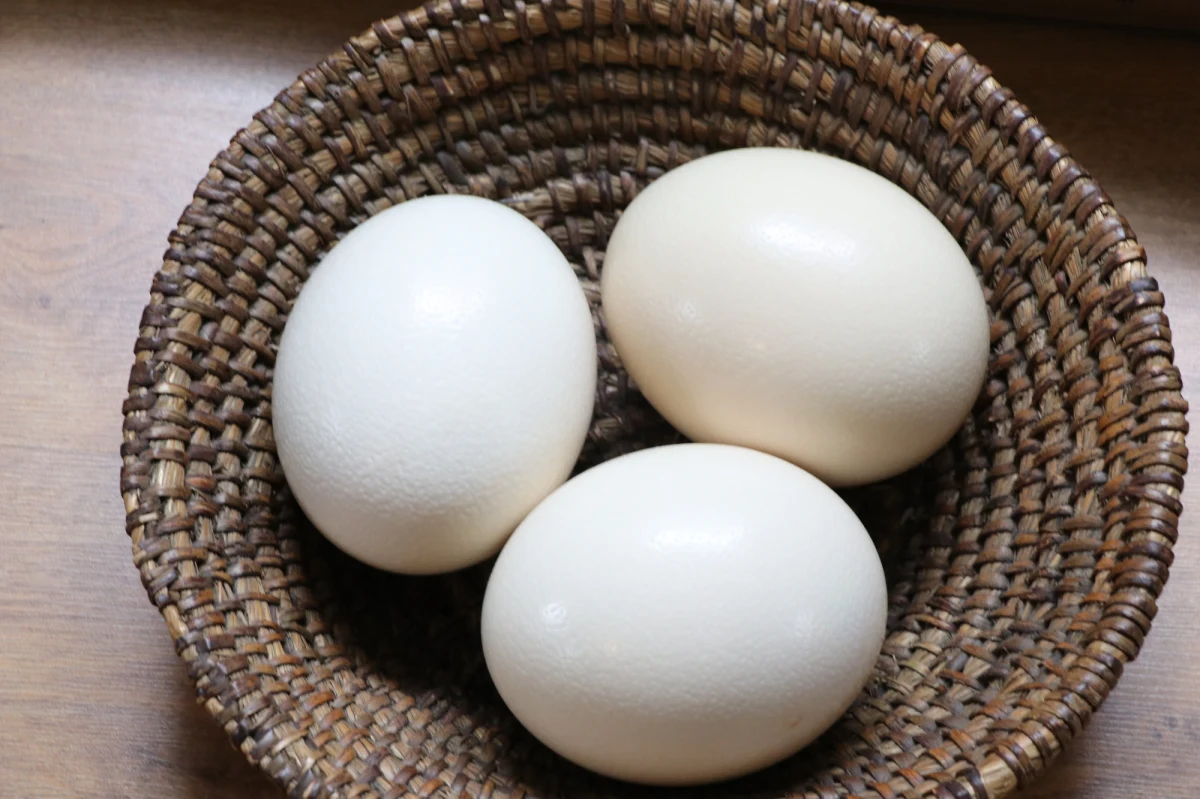 Z okazji świąt wielkanocnych radio RMF FM organizuje specjalną, charytatywną akcję! Wysłaliśmy do prezydentów 15 największych miast w Polsce strusie jaja, które oni zamienią na wielkanocne pisanki. Tak przygotowane jajka trafią na aukcję, z której dochód zostanie przeznaczony na cel charytatywny!