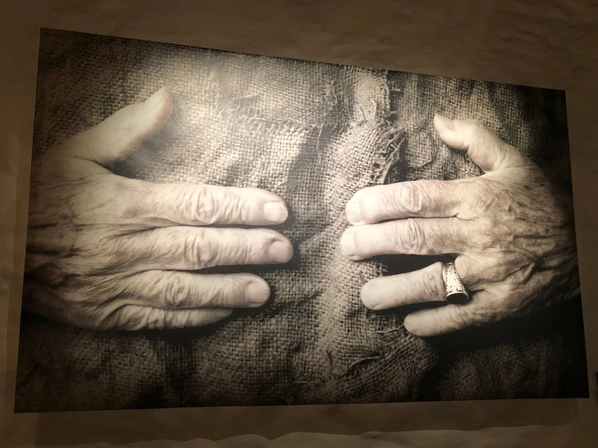 10 kwietnia w Rydze wernisaż wystawy "W przestrzeni Magdaleny Abakanowicz. Tkanina i rzeźba". W Muzeum Sztuki Dekoracyjnej i Designu w łotewskiej stolicy będzie można zobaczyć można ponad 20 obiektów, w tym przestrzenne tkaniny - abakany, rzeźby i figuratywne kompozycje z kilku polskich muzeów oraz z pracowni zmarłej w 2017 roku artystki. 