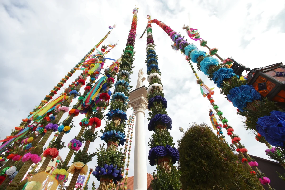 Kolorowe, piękne i najwyższe na świecie – takie palmy Wielkanocne można zobaczyć tylko w Lipnicy Murowanej. To właśnie tam po raz 61. wybrano tę najdłuższą. 