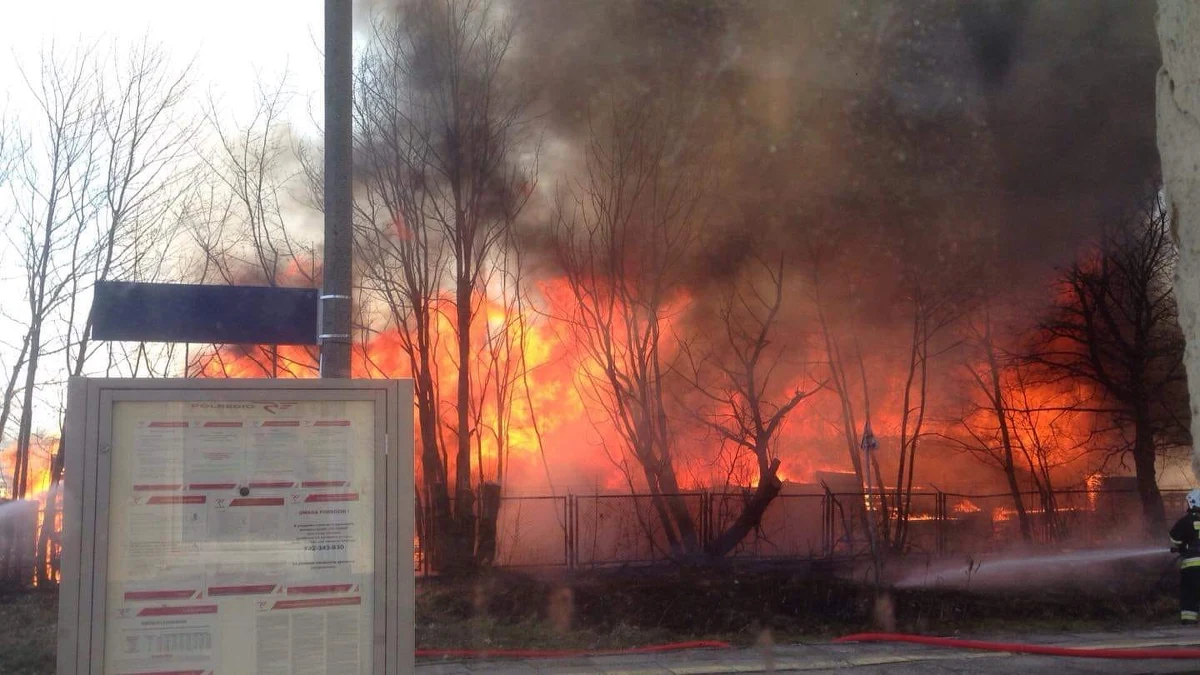 Opanowano pożar zakładu przetwórstwa drzewnego w Dziemianach koło Kościerzyny na Pomorzu. Z ogniem walczyły 24 zastępy straży pożarnej. W tej chwili największym zagrożeniem dla mieszkańców okolicy jest dym.
