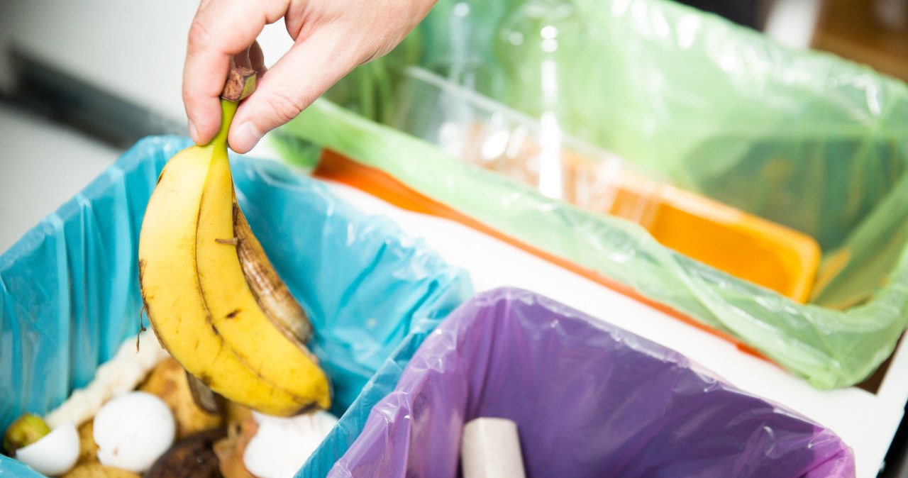 ​Zmiany w segregacji śmieci od stycznia. Nowy pojemnik trzeba kupić samodzielnie
