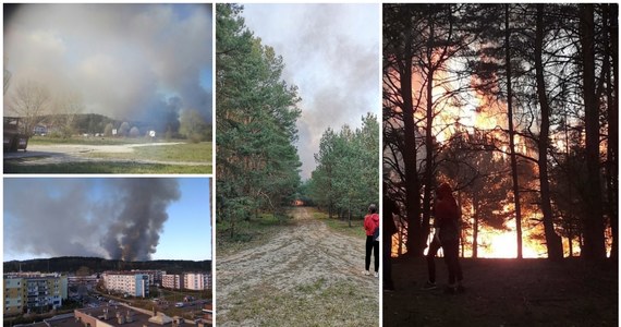 Strażakom udało się opanować pożar lasu w Bydgoszczy. Żywioł niszczył niemal 10 hektarów powyżej osiedla Fordon. Trwa tam dogaszanie pogorzeliska. W nocy służby będą nadzorowały ten teren, by ogień znów się nie pojawił.