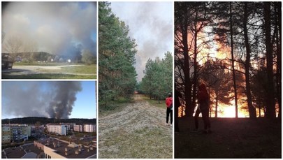 Bydgoszcz: Groźny pożar lasu opanowany