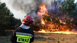 ​Bydgoszcz: Płonie las w sąsiedztwie osiedla mieszkaniowego