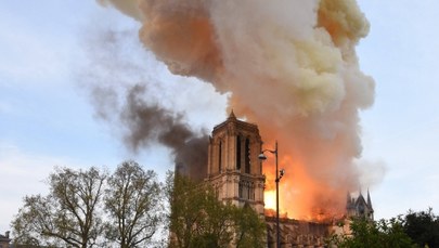 Pożar katedry Notre-Dame katastrofą ekologiczną?