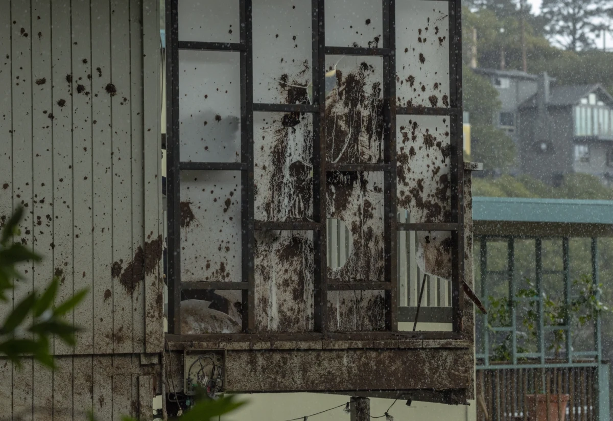 Co najmniej 14 osób zginęło, a pięć zostało rannych w lawinie błotnej w departamencie Cauca na południowym zachodzie Kolumbii. Trwa akcja ratunkowa.