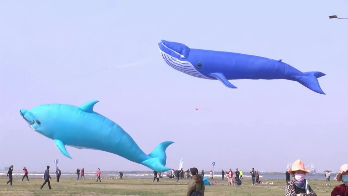 Ponad 10 tys. latawców zaprezentowano podczas uroczystości otwarcia 36. międzynarodowego festiwalu latawcowego w Weifang na zachodzie Chin. W konkursie brało udział ponad 800 drużyn z 60 krajów.