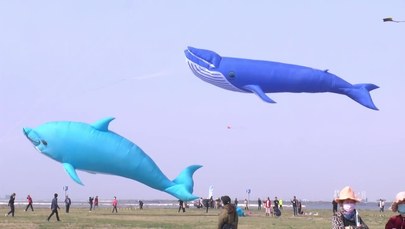 Smoki, delfiny i świnie na niebie. Festiwal latawców w Chinach
