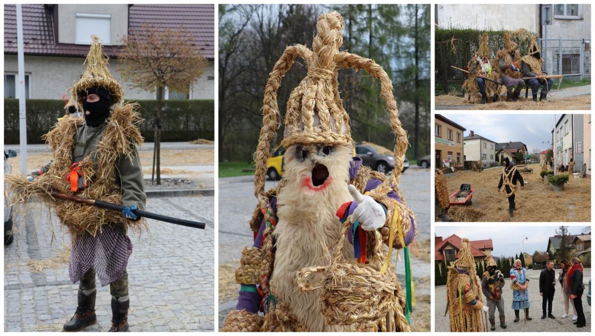 Mieszkańców Dobrej w Małopolsce budzi co roku w lany poniedziałek charakterystyczne pohukiwanie, turkotanie wydawane przez Śmiguśnioków. Słomioki, bo też są tak nazywani, harcują od wczesnych godzin porannych lejąc wodą mieszkańców, uczestników mszy w parafialnym kościele - zwłaszcza zaś młode dziewczęta. 