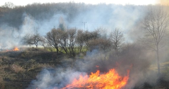 Rekordowa liczba pożarów traw i łąk na Mazowszu. Od początku roku doszło już do 5200 pożarów nieużytków. Tymczasem w całym ubiegłym roku było ich 5,5 tys.
