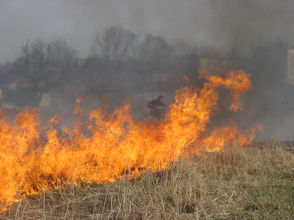 Od Wielkiej Soboty do Wielkanocnego Poniedziałku doszło do ponad 3,5 tysiąca pożarów, w których zginęło 8 osób, a 59 zostało rannych. Strażacy podjęli ponad 5,2 tys. interwencji. W okresie wielkanocnym wybuchło 467 pożarów w lasach; trawy i nieużytki paliły się ponad 1 822 razy.