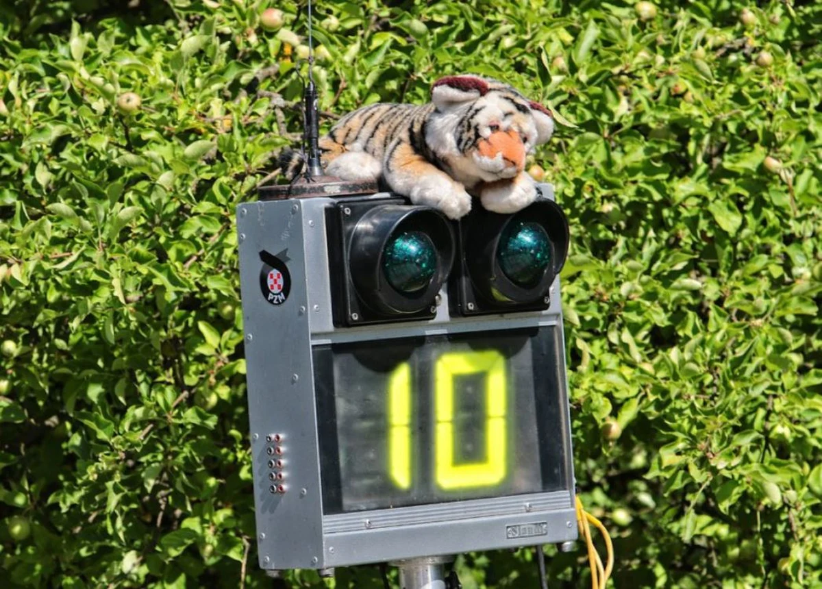 Siedem rajdów w kalendarzu Rajdowych Samochodowych Mistrzostw Polski 2019. Podobnie jak w poprzednim sezonie zaplanowano pięć rund asfaltowych i dwie szutrowe.