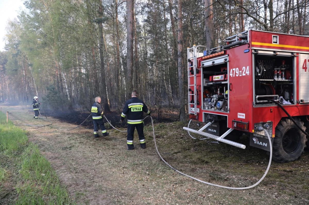 Tylko we wtorek w całej Polsce wybuchło 190 pożarów lasów i 440 pożarów traw - podało Ministerstwo Spraw Wewnętrznych i Administracji. Silny wiatr i sucha ściółka sprzyja rozprzestrzenianiu się żywiołu.