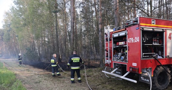 Tylko we wtorek w całej Polsce wybuchło 190 pożarów lasów i 440 pożarów traw - podało Ministerstwo Spraw Wewnętrznych i Administracji. Silny wiatr i sucha ściółka sprzyja rozprzestrzenianiu się żywiołu.