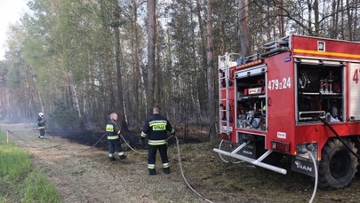 Groźne pożary lasów w całym kraju