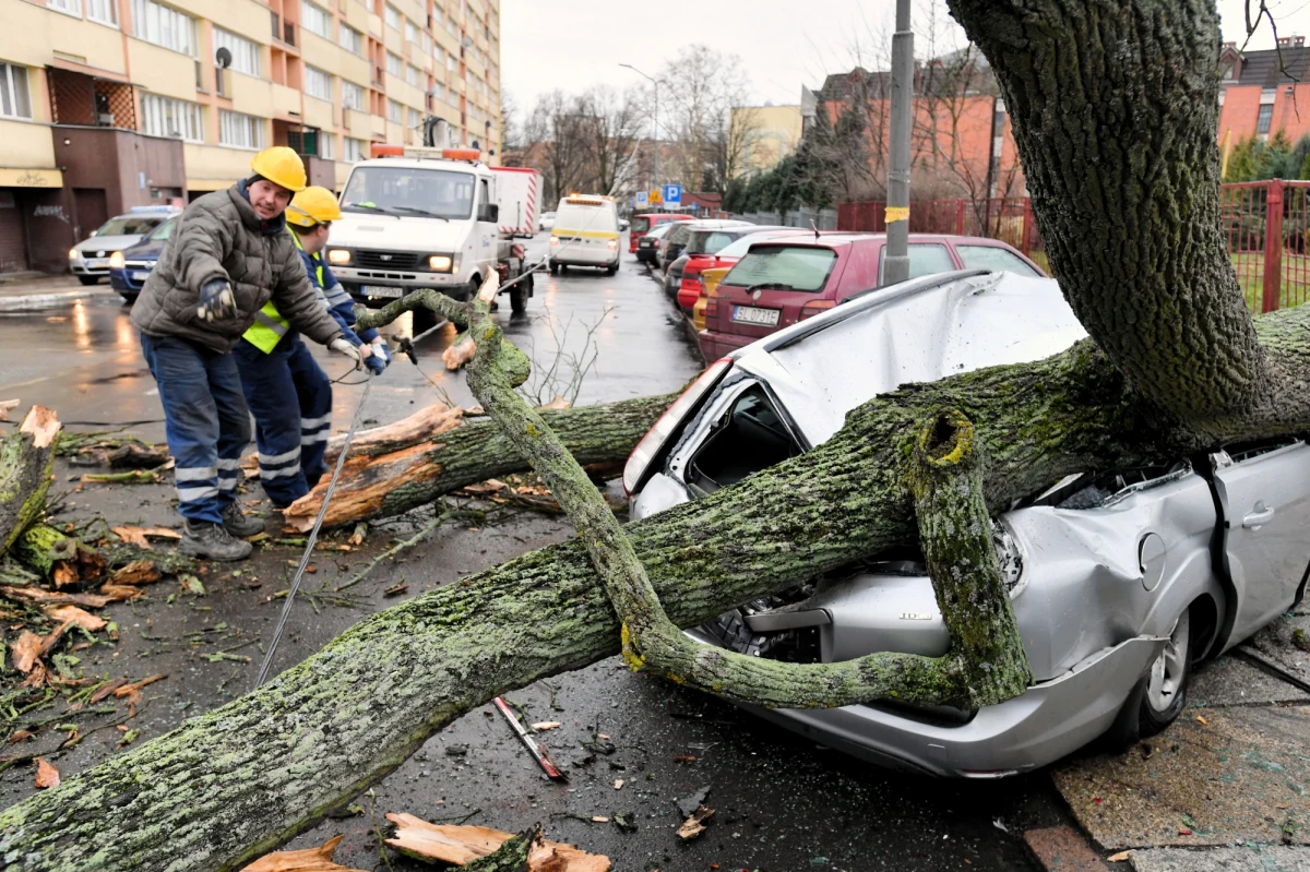 W związku z silnym wiatrem Instytut Meteorologii i Gospodarki Wodnej wydał ostrzeżenia pierwszego stopnia dla sześciu województw. Mocno powieje na m.in. na wchodzie i południu kraju. Rośnie także liczba interwencji straży pożarnej w związku z pożarami.