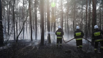 Zachodniopomorskie: Płonie kilkanaście hektarów lasu