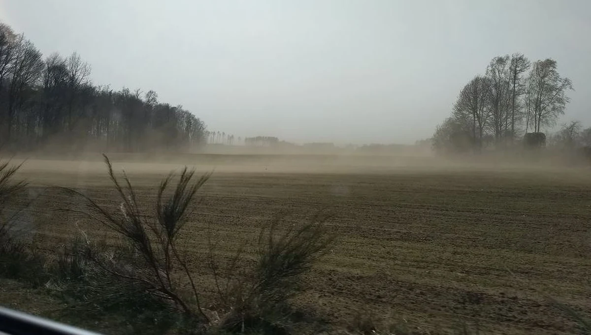 Ponad dwa tysiące interwencji straży pożarnej w wyniku porywistego wiatru i ponad tysiąc z powodu pożarów lasów i łąk. Tak wygląda aktualny bilans ostatniej doby, związany tylko ze zjawiskami pogodowymi. Łącznie strażacy interweniowali wczoraj prawie 5 tysięcy razy.