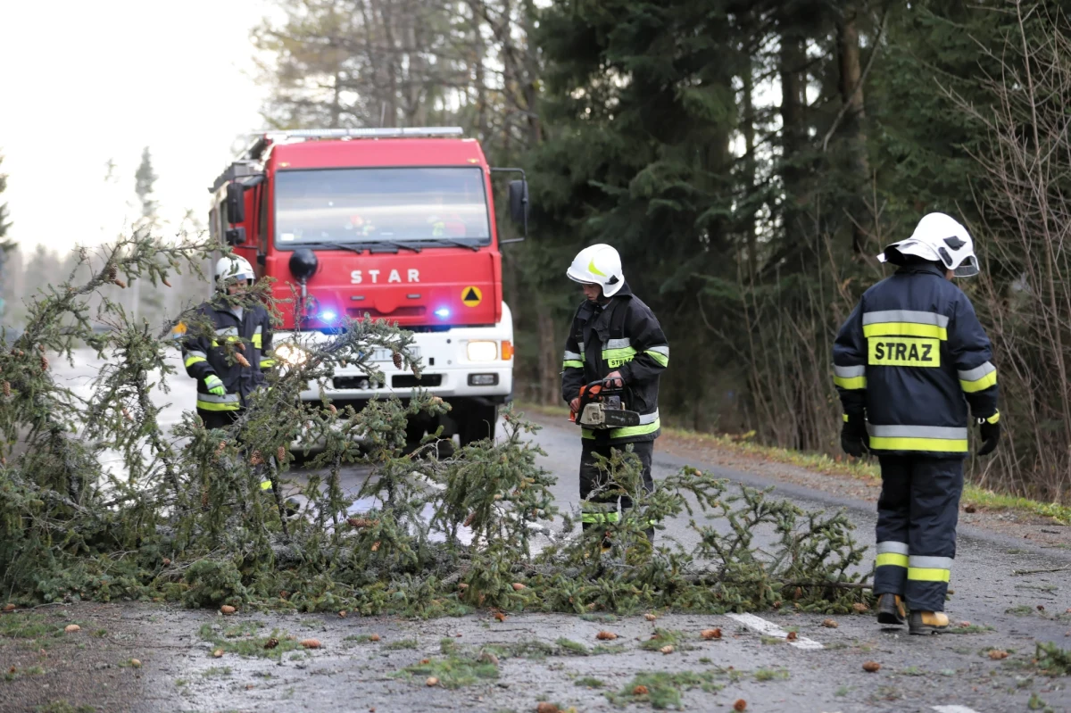​Instytut Meteorologii i Gospodarki Wodnej ostrzeżenia przed silnym wiatrem dla północno-wschodniej części kraju. Jak informuje Rządowe Centrum Bezpieczeństwa, ze względu na szkody spowodowane m.in. wiatrem we wtorek ponad 4 tys. odbiorców pozbawionych jest dostaw energii elektrycznej.