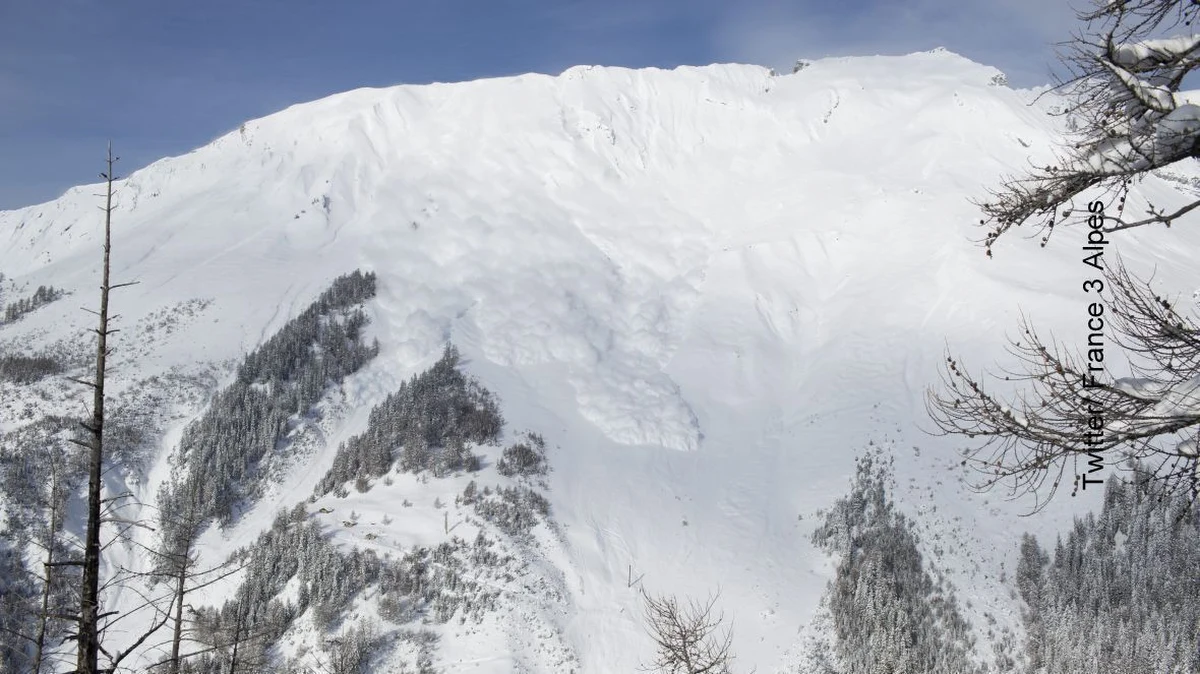 Czterech niemieckich narciarzy biegowych zginęło w lawinie, która zeszła w szwajcarskich Alpach Berneńskich - poinformowała w niedzielę policja kantonu Valais, na południowym zachodzie Szwajcarii. Grupa zaginęła w piątek.