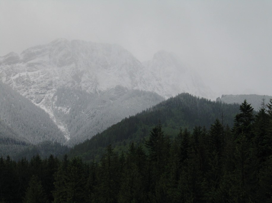 /Maciej Pałahicki /RMF FM