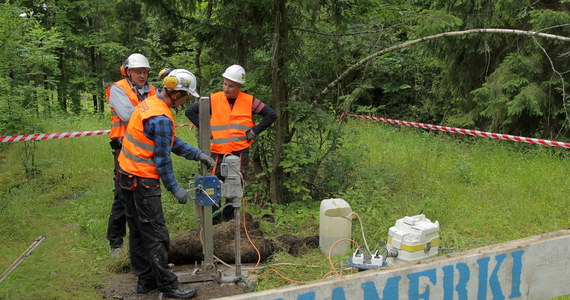 Po nieudanych próbach odnalezienia bursztynowej komnaty poszukiwacze ponownie przebadają kompleks bunkrów z czasów II wojny światowej w Mamerkach na Mazurach. Tym razem szukać będą porcelany i tajnego archiwum Wehrmachtu.