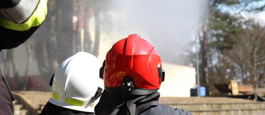 Zagrożenie pożarowe w lasach jest nadal bardzo duże - informuje komendant główny Państwowej Straży Pożarnej gen. brygadier Leszek Suski. Wiosna w tym roku jest sucha, dlatego lasy płoną częściej niż rok temu. Komendant zapewnił, że strażacy są przygotowani do walki z takimi pożarami.