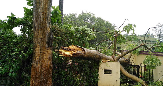 Potężny cyklon dotarł do wybrzeży Indii, niosąc ze sobą monsunowe deszcze oraz porywy wiatru do 200 km/h. Już ewakuowano milion ludzi mieszkających na prognozowanej trasie cyklonu. Ale zachodnie agencje ostrzegają, że Fani zagraża domom 100 milionom mieszkańców Indii i sąsiedniego Bangladeszu.