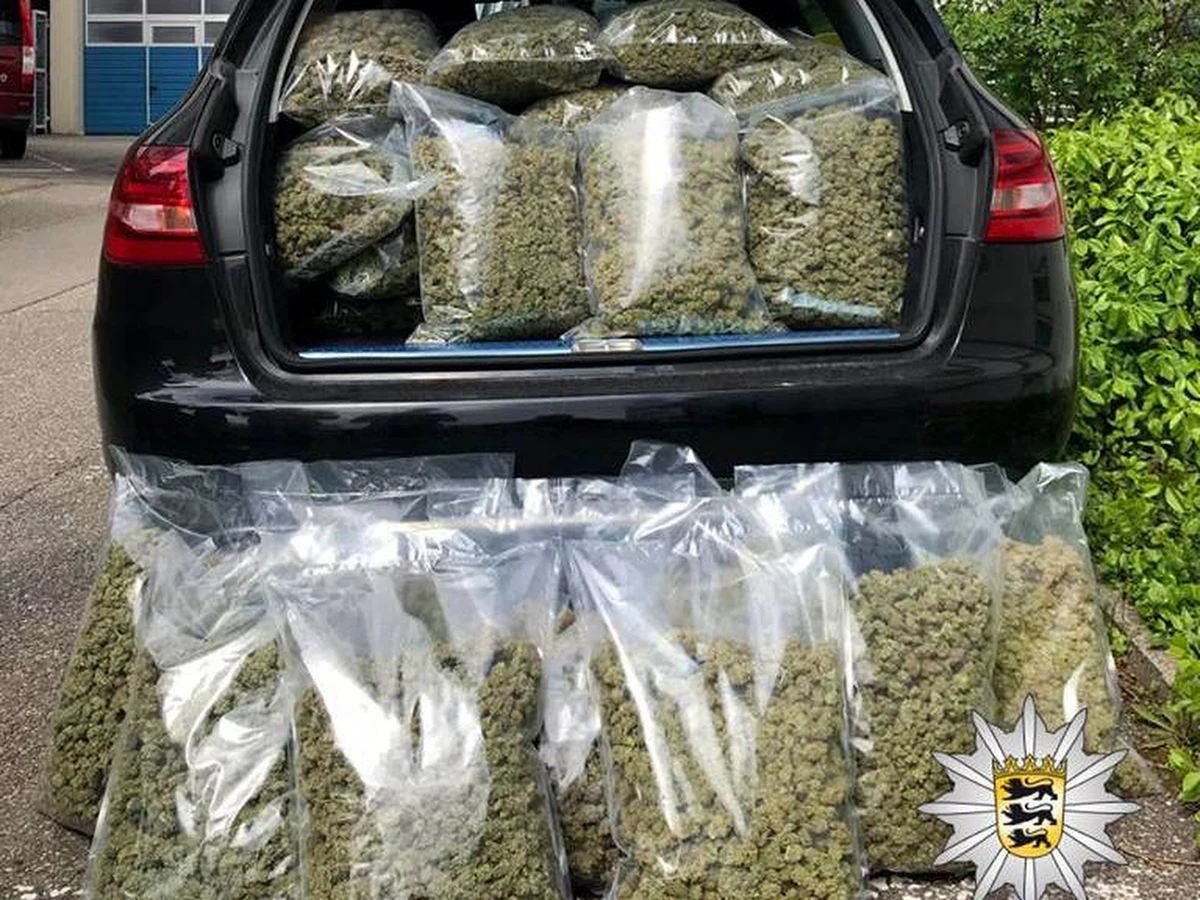 Uczeń szkoły policyjnej jest wśród 10 osób zatrzymanych przez niemiecką policję za handel narkotykami. Na trop gangu policja wpadła po przejęciu samochodu wypełnionego workami z marihuaną.