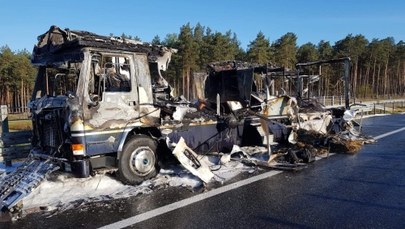W pożarze na A1 spłonął koń szwedzkiej medalistki olimpijskiej