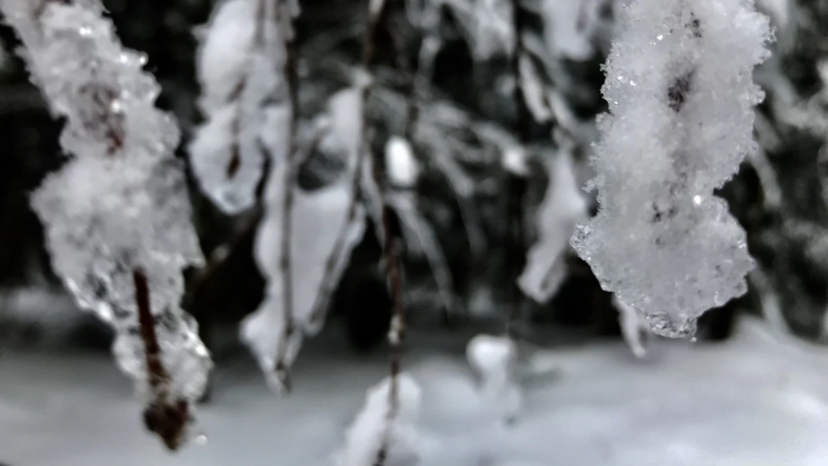 Od 62 lat na początku maja we Włoszech nie było tak zimno - ogłosili meteorolodzy. Zazwyczaj w tych dniach średnia temperatura sięgała 20-22 stopni. Jednak w ostatnich dniach w wielu częściach kraju zanotowano temperatury niższe nawet o 15 stopni od średniej.
