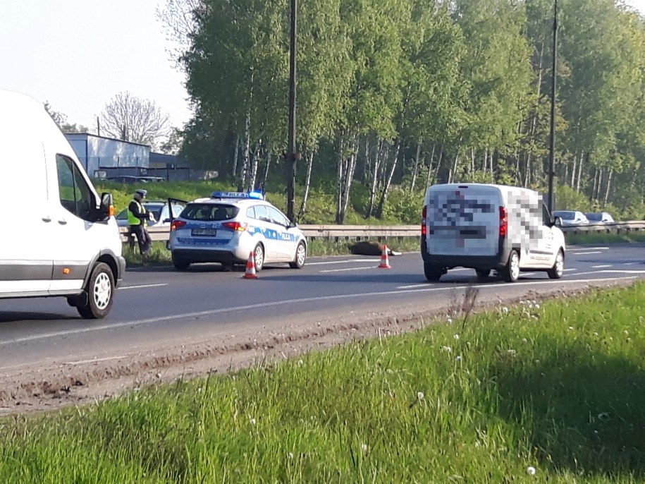 /Słuchacz RMF FM /Gorąca Linia RMF FM