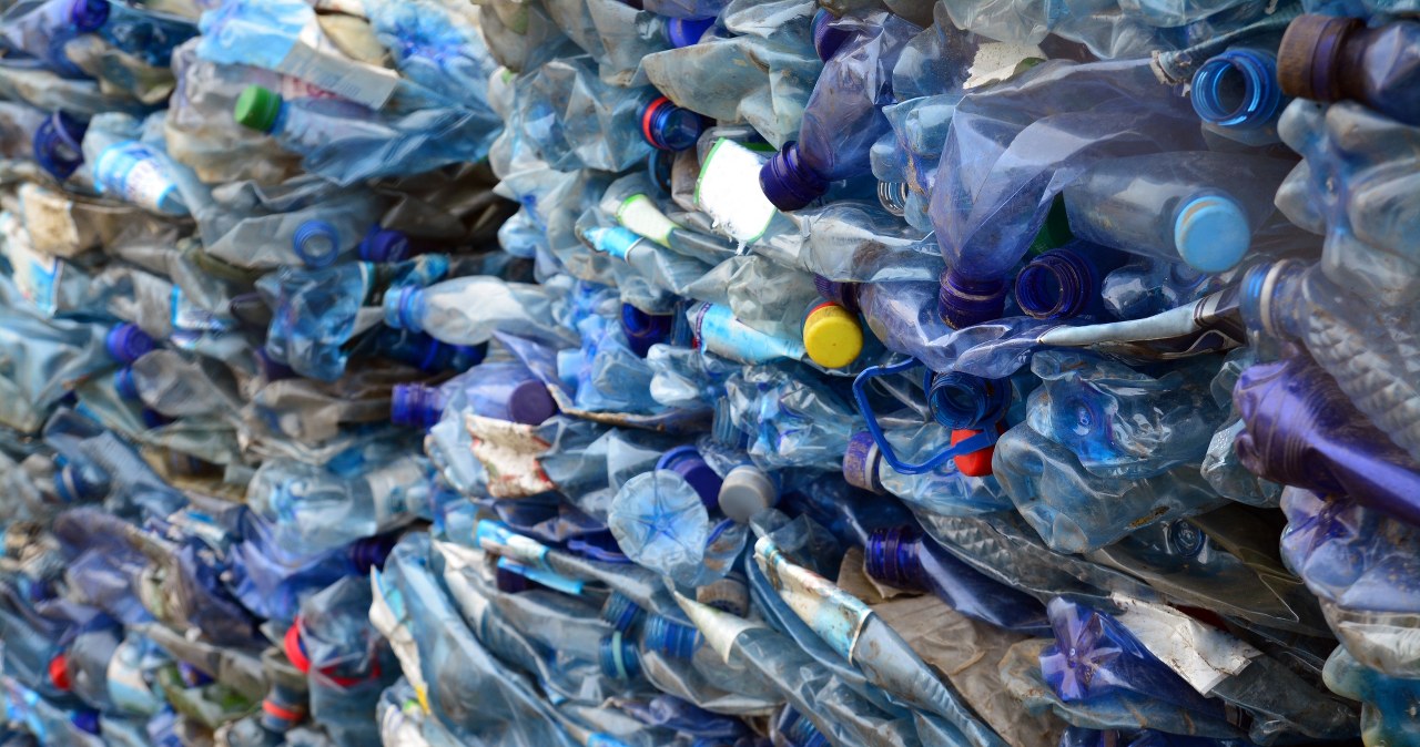 Fotosynteza bez użycia roślin? Naukowcy produkują plastik z dwutlenku węgla