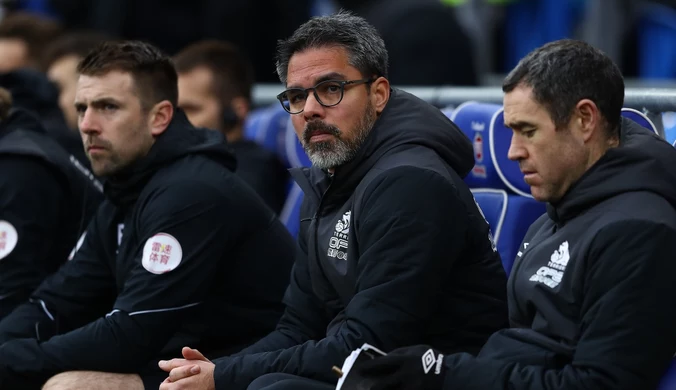 Schalke 04. David Wagner od nowego sezonu trenerem