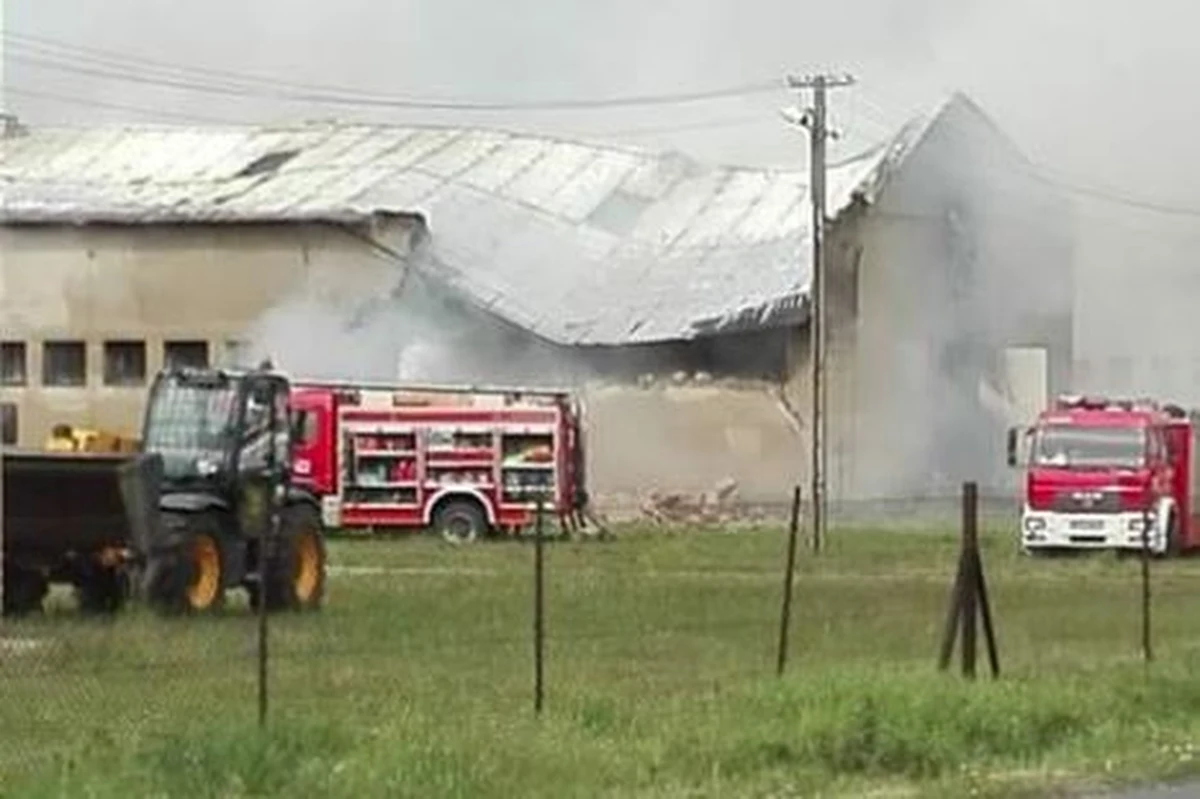 Ogromny pożar w hodowli owiec w Pianowie koło Kościana w Wielkopolsce. Z ogniem na miejscu walczy ponad 20 strażackich zastępów. 
