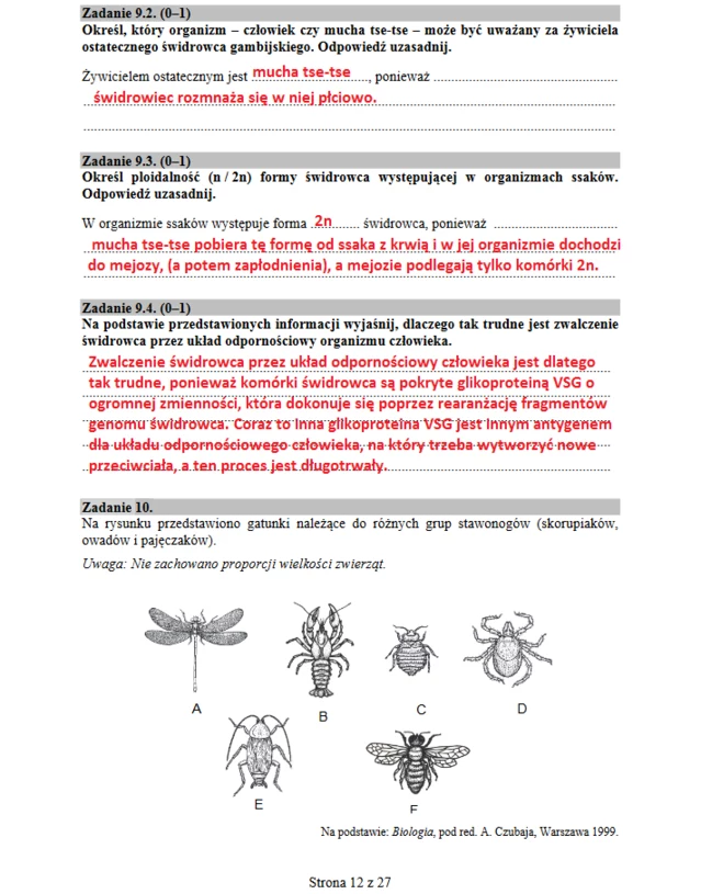 Matura 2019: Biologia Arkusz CKE I Odpowiedzi - Wydarzenia W INTERIA.PL