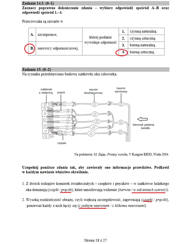 Matura 2019: Biologia Arkusz CKE I Odpowiedzi - Wydarzenia W INTERIA.PL
