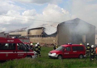 62-letni pracownik zginął w pożarze owczarni w Pianowie. W zgliszczach znaleziono jego ciało