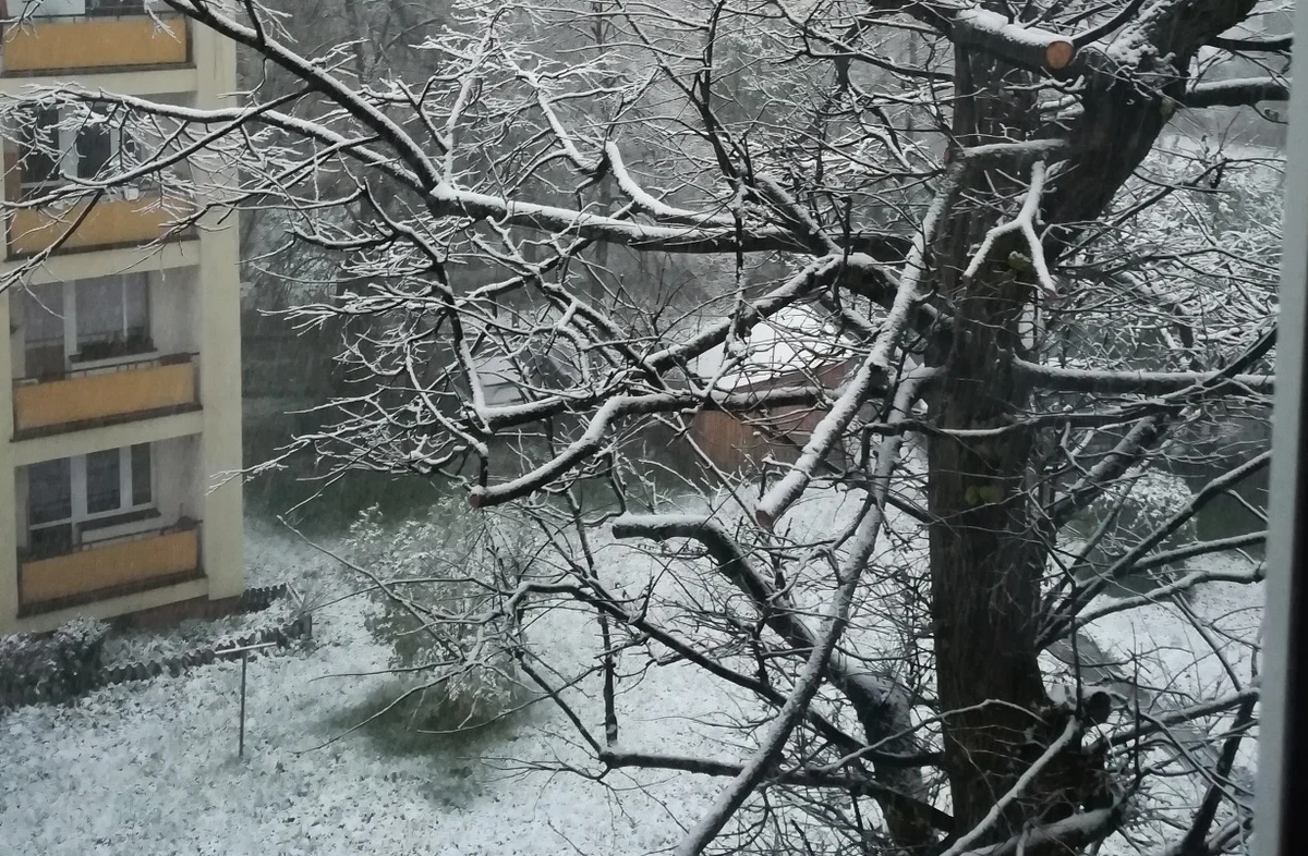 Po nocnych opadach w Zakopanem zalega kilka centymetrów śniegu i cały czas go przybywa. W Tatrach obowiązuje zagrożenie lawinowe pierwszego stopnia. Zdjęcia z zaśnieżonego Zakopanego dostaliśmy na Gorącą Linię RMF FM. 