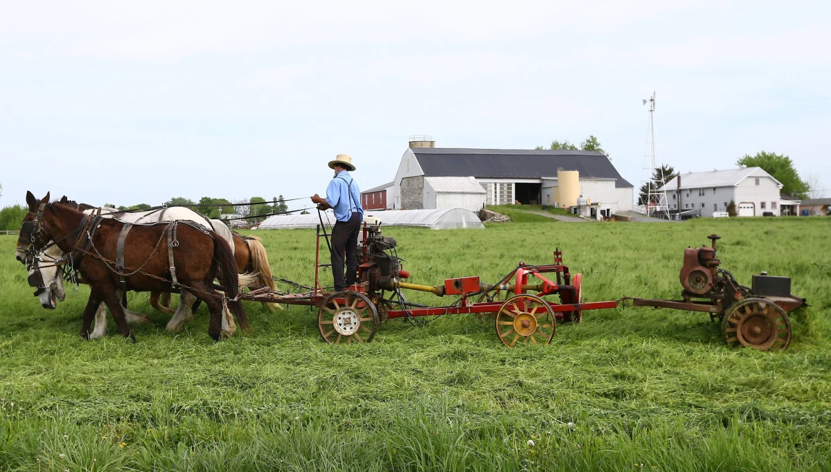 Amerykańscy farmerzy są pierwszymi ofiarami wojny handlowej, jaką Waszyngton prowadzi z Pekinem. Cła wprowadzone wzajemnie przez strony konfliktu grożą amerykańskim farmerom utratą podstawowego rynku zbytu, jakim dla nich są Chiny.