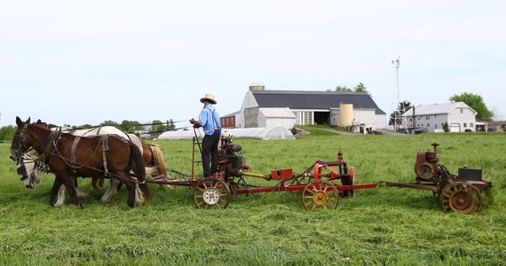 Amerykańscy farmerzy są pierwszymi ofiarami wojny handlowej, jaką Waszyngton prowadzi z Pekinem. Cła wprowadzone wzajemnie przez strony konfliktu grożą amerykańskim farmerom utratą podstawowego rynku zbytu, jakim dla nich są Chiny.