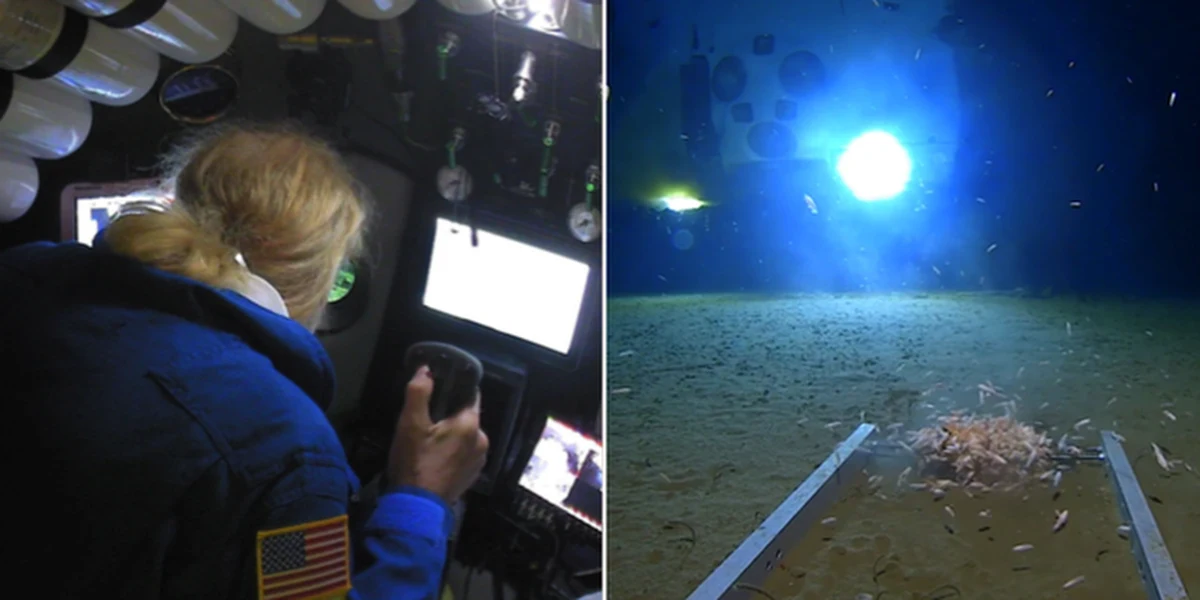 Victor Vescovo zdobył już najwyższe szczyty wszystkich kontynentów oraz oba bieguny. Tym razem amerykański podróżnik zanurkował prawie 11 km w głąb Oceanu Spokojnego i na dnie Rowu Mariańskiego zobaczył… worek plastikowy oraz opakowanie po słodyczach. 