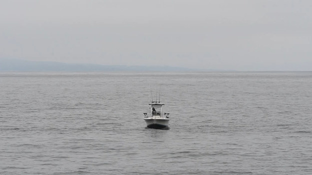 Turyści obserwowali z daleka małą łódkę, na której facet siedział łowiąc ryby. I wtedy pojawił się on... Oglądajcie.