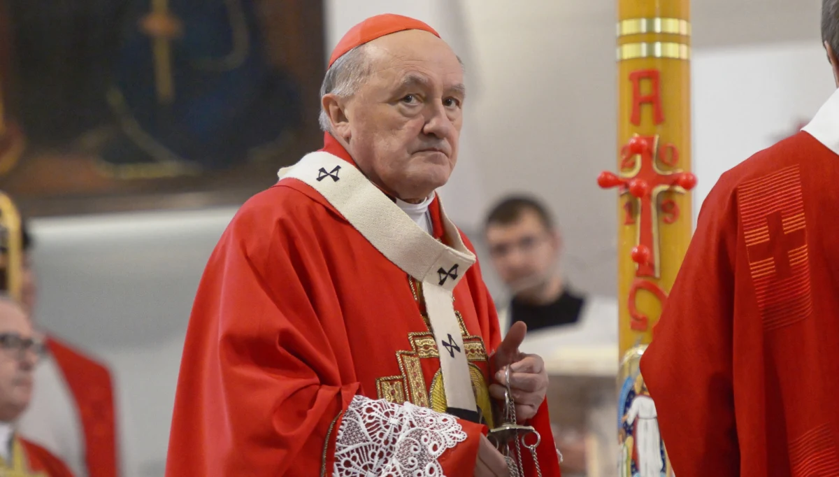 Metropolita warszawski kard. Kazimierz Nycz powołał zespół ekspertów do zbadania zgodności z obowiązującym prawem państwowym i kościelnym wszystkich procedur oraz działań podjętych ws. ks. Dariusza Olejniczaka - poinformował rzecznik Archidiecezji warszawskiej ks. Przemysław Śliwiński.