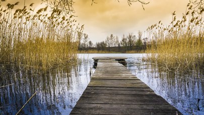 Podkarpackie: Utonął 47-letni mężczyzna. "Pierwsza ofiara wypoczynku nad wodą"