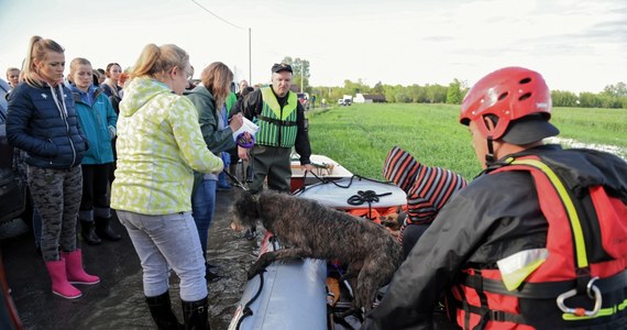 Z zagrożonego zalaniem schroniska dla zwierząt w Wadowicach Dolnych k. Mielca (Podkarpackie) strażacy ewakuowali 55 psów i jednego kota. "Na miejscu nie ma już ani jednego zwierzęcia" – powiedział rzecznik podkarpackiej straży pożarnej Marcin Betleja.